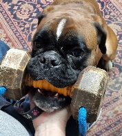 Holz halten 20231223_123319